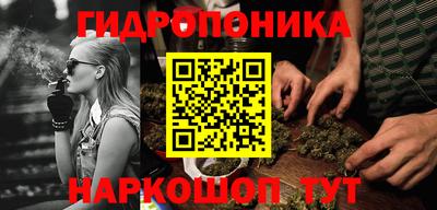 гидра Донецк