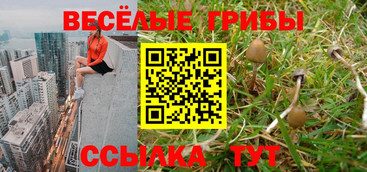 Богданович  Галлюциногенные грибы Cubensis  Вход с VPN 